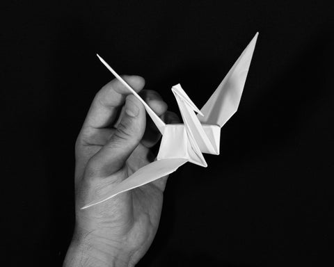It started with the origami crane...